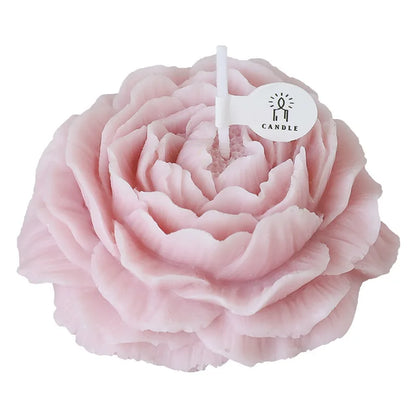 Blush Peony Bloom Collection Candle